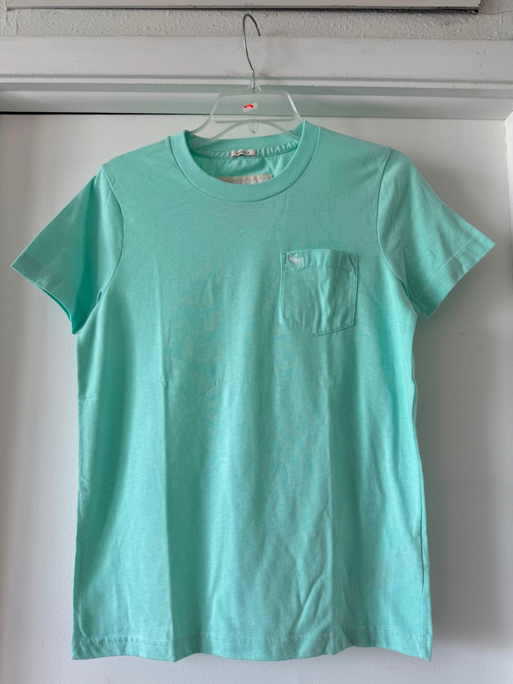 Abercrombie & Fitch Mint Crew Neck Tee